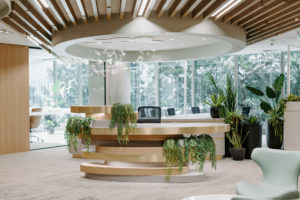 Bespoke reception desk created from organic layering. Styled with greenery and papercutting artwork. Ceiling features timber battening and lowered oval ceiling.