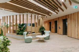 Timber Feature screen with privacy panels and shelving. Timber shelf with potted plants. Waiting area with light green armchairs, temple and webster coffee table and pot plants. Ceiling feature batten running through space.