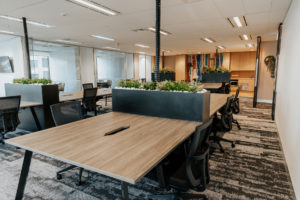 Workspace with timber topped workstations, cascade task chairs and planter boxes with greenery.