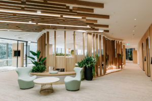 Timber Feature screen with privacy panels and shelving. Timber shelf with potted plants. Pendant lights over rock pool. Waiting area with light green armchairs, temple and webster coffee table and pot plants. Ceiling feature batten running through space.