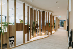 Timber Feature screen with privacy panels and shelving. Timber shelf with potted plants. Pendant lights over rock pool. Rock pool with brass edging.