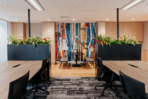 Break out area with feature wallpaper, planter box divider and bench seating. Timber cabinet framing and black planter box. Workstations with timber tops and Cascade task chairs.