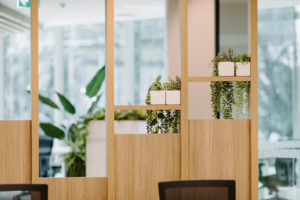 Timber Feature screen with privacy panels and shelving. Timber shelf with potted plants