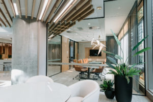 Ceiling Feature battens through collaborative space and boardroom. Potted plants with bird pendant from Amonson Lighting.