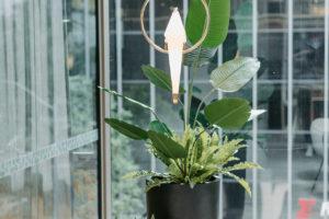 Potted plants with bird pendant light from Amonson Lighting.