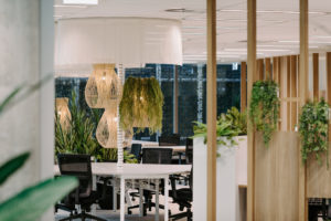 Workspace curtain ceiling feature with Indah pendant lights from Uniqwa furniture. Greenery hung on natural pendant light over workstation to hide umbilical cord. Concrete workstations with cascade task chair. Timber batten screen to divide workspace from lift lobby.