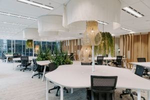 Workspace curtain ceiling feature with Indah pendant lights from Uniqwa furniture. Greenery hung on natural pendant light over workstation to hide umbilical cord. Concrete workstations with cascade task chair. Timber batten screen to divide workspace from lift lobby.