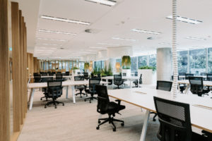 Workspace with white workstations and timber edges. Cascade task chair throughout. Timber feature battens screening workspace from lift lobby.