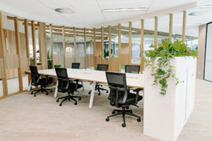 Workstations surrounded by timber feature battens. White tambour units with greenery for workspace storage. Feature battens incorporate with shelving and privacy screen elements.