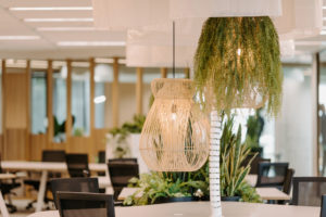 Indah pendant light from Uniqwa furniture. Feature pendant with greenery hung over workstations.