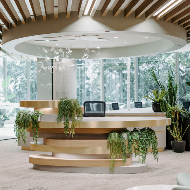 Bespoke reception desk created from organic layering. Styled with greenery and papercutting artwork. Ceiling features timber battening and lowered oval ceiling.